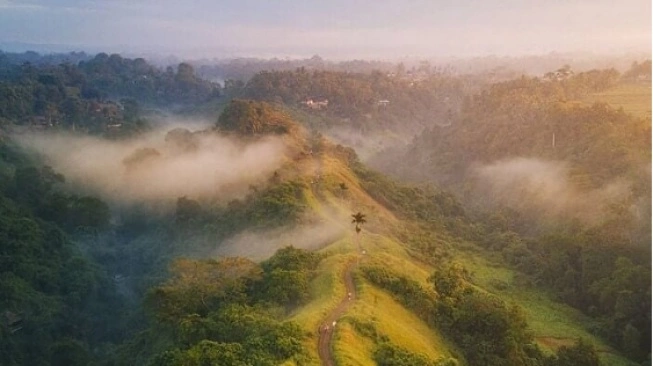 Objek Wisata Alam di Ubud Bali dengan Panorama Tiada Dua